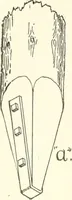 Picture 6 of 452 from Building construction and superintendence (1909), leaf 55
