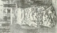 An illustration from Building construction and superintendence (1909)