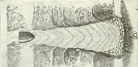 An illustration from Building construction and superintendence (1909)