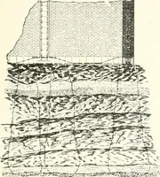 An illustration from Building construction and superintendence (1909)