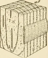 An illustration from Building construction and superintendence (1909)
