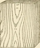 An illustration from Building construction and superintendence (1909)