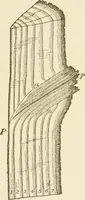 An illustration from Building construction and superintendence (1909)
