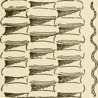 An illustration from Building construction and superintendence (1909)