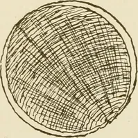 An illustration from Building construction and superintendence (1909)
