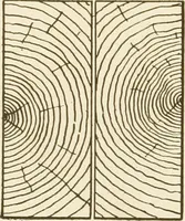 An illustration from Building construction and superintendence (1909)