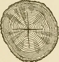 An illustration from Building construction and superintendence (1909)