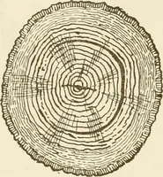 An illustration from Building construction and superintendence (1909)