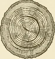 An illustration from Building construction and superintendence (1909)