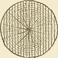 An illustration from Building construction and superintendence (1909)
