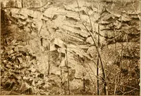 An illustration from The building and decorative stones of Maryland, containing an account of their properties and distribution (1898)