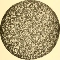 An illustration from The building and decorative stones of Maryland, containing an account of their properties and distribution (1898)
