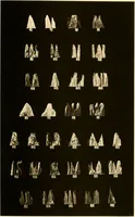 An illustration from The building and decorative stones of Maryland, containing an account of their properties and distribution (1898)