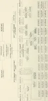 Picture 43 of 44 from Building the emergency fleet; a historical narrative of the problems and achievements of the United States shipping board emergency fleet corporation (1920), leaf 289
