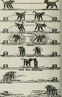 An illustration from Building & engineering news (1914)