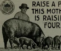 Picture 31 of 94 from Building & engineering news (1914), leaf 146
