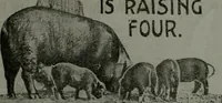 Picture 43 of 94 from Building & engineering news (1914), leaf 170