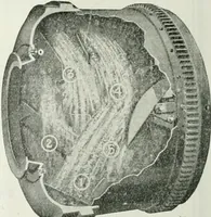 An illustration from Building & engineering news (1914)