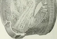 An illustration from Building & engineering news (1914)