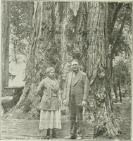 Picture 24 of 130 from Building & engineering news (1914), leaf 141