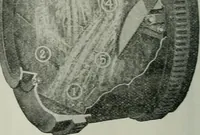 An illustration from Building & engineering news (1914)