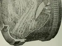 An illustration from Building & engineering news (1914)