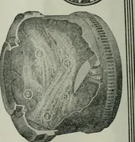 An illustration from Building & engineering news (1914)