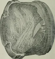 An illustration from Building & engineering news (1914)
