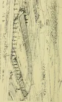 An illustration from Building & engineering news (1914)