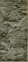 An illustration from Building & engineering news (1914)