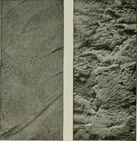 An illustration from Building & engineering news (1914)
