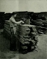 Picture 43 of 58 from Building & engineering news (1914), leaf 568