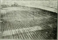 Picture 121 of 189 from Building and industrial news (1914), leaf 679