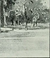 Picture 139 of 222 from Building and industrial news (1914), leaf 793