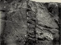 Picture 16 of 65 from The building and ornamental stones of North Carolina (1906), leaf 112