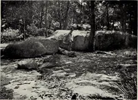 Picture 21 of 65 from The building and ornamental stones of North Carolina (1906), leaf 144