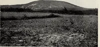Picture 36 of 65 from The building and ornamental stones of North Carolina (1906), leaf 228