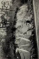 Picture 64 of 65 from The building and ornamental stones of North Carolina (1906), leaf 346