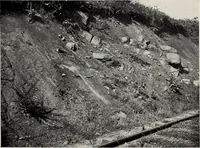 Picture 9 of 65 from The building and ornamental stones of North Carolina (1906), leaf 52