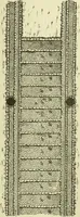 An illustration from Buildings (1922)