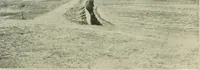 An illustration from Buildings (1922)