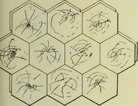 An illustration from Buildings (1922)