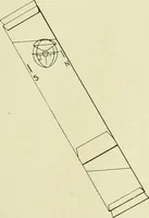 An illustration from Buildings (1922)