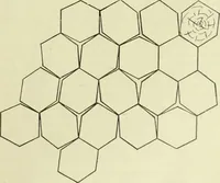 An illustration from Buildings (1922)