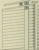 An illustration from Buildings (1922)