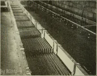An illustration from Buildings (1922)