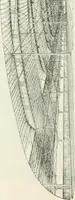 An illustration from Buildings and structures of American railroads. A reference book for railroad managers, superintendents, master mechanics, engineers, architects, and students (1893)