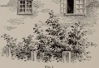 An illustration from Building stone, lathing, plastering, and tiling, common brickwork, ornamental brickwork and terra cotta : lighting fixtures, use and design of lighting fixtures, architectural design (1909)