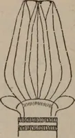 An illustration from Building stone, lathing, plastering, and tiling, common brickwork, ornamental brickwork and terra cotta : lighting fixtures, use and design of lighting fixtures, architectural design (1909)