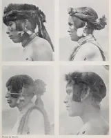 An illustration from Bulletin (1901)